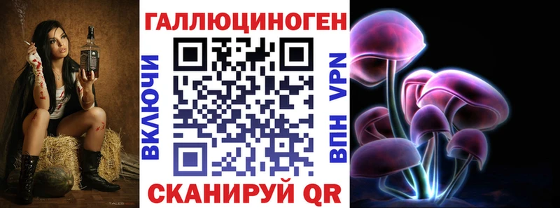 где можно купить наркотик  Павловский Посад  Галлюциногенные грибы Psilocybine cubensis 